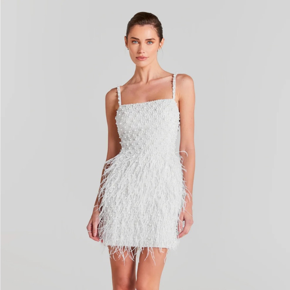 Nadine Merabi Carrie Dress Size L Brand New with tags